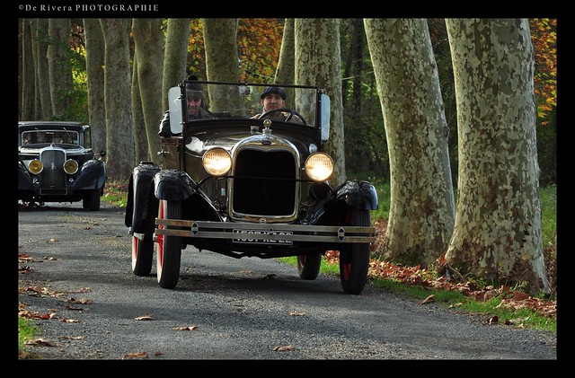 Sortie d'automne du dimanche 13 novembre 2011 - Page 4 6636976847_6f339ba408_z