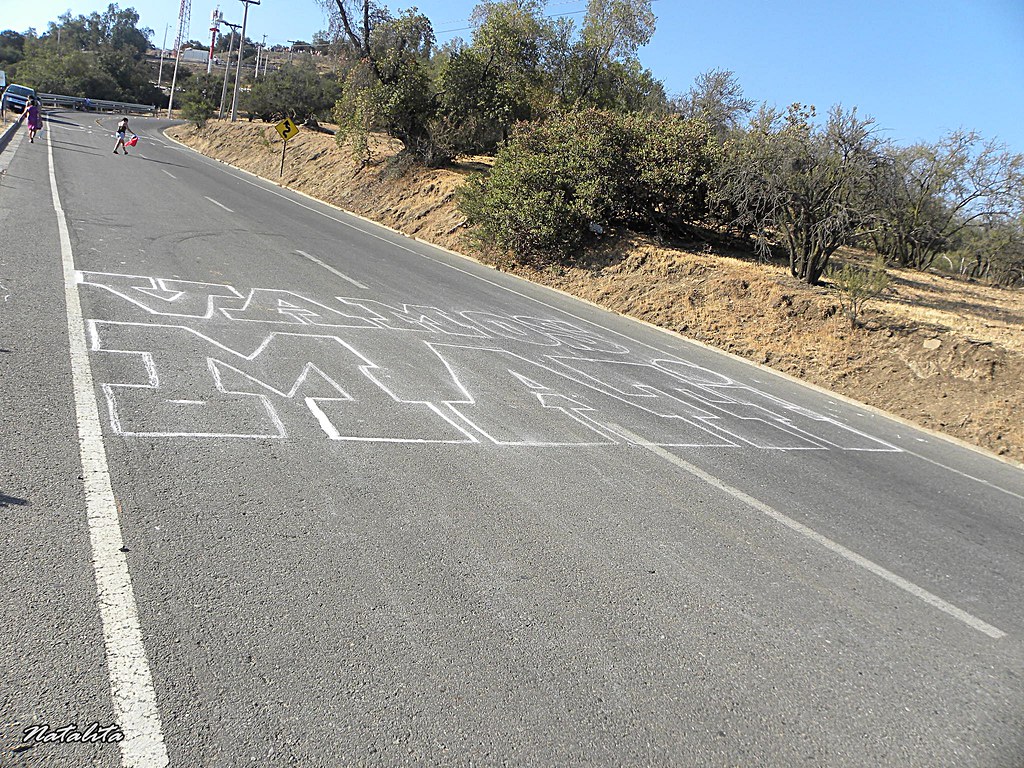 VUELTA A CHILE 2012  - Página 4 6664466329_d844005fd9_b