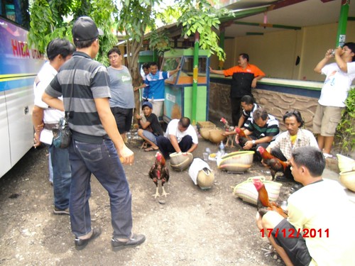 laporan perjalanan kontingen PAPAJI DKI dari bandungan 19des - Page 4 6564125347_7563d8a811