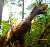 Dinosaurus per merk. 6907150783_a913709762_t