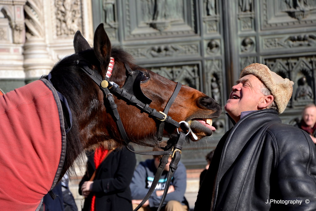 « Mon néant, pour un cheval ! »  André Velter 6972104732_c63440f438_b