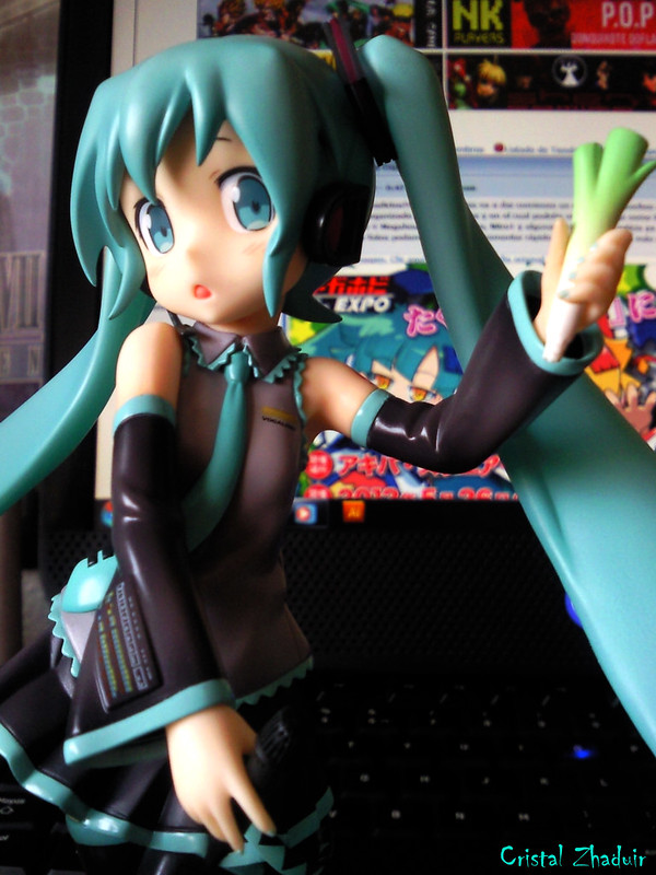 [Review] Hatsune Miku HSP ver. (Max Factory) 7274384950_02e96e0b8e_c