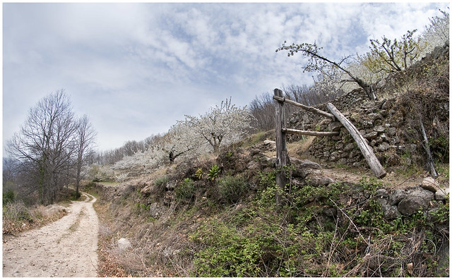 Valle del Jerte