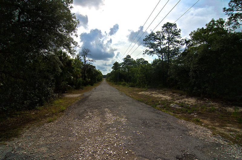 A week and a half of solid Florida herping...  7233437384_0c407e6cd9_c