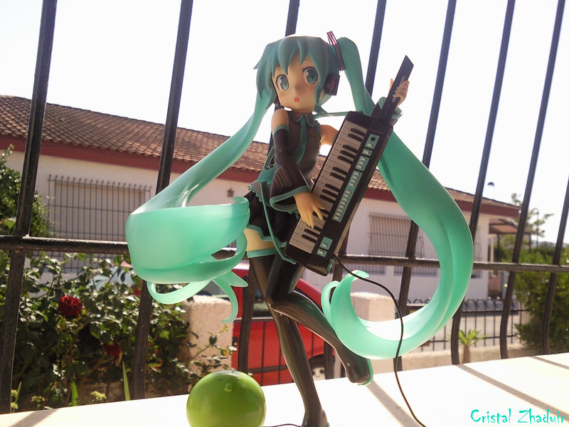 [Review] Hatsune Miku HSP ver. (Max Factory) 7274377452_3247bcf7f8_c