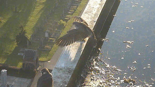 Day 51  - stretching in early morning sunshine