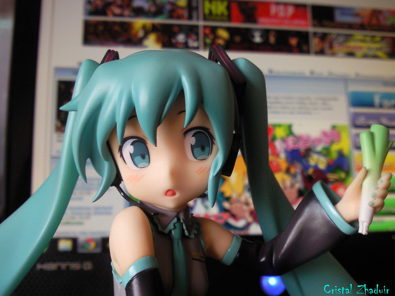 [Review] Hatsune Miku HSP ver. (Max Factory) 7274387742_f6a3bc21e4_c