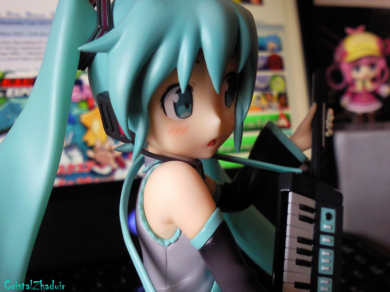 [Review] Hatsune Miku HSP ver. (Max Factory) 7274431964_40d22c602b_c