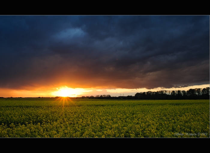 Orages d'air froid (18-23 Avril) - Page 2 6948495632_0fec658fff_o