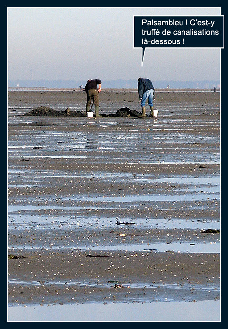 La pêche aux palourdes (bédé photo-roman) 8167216524_f54876f646_b