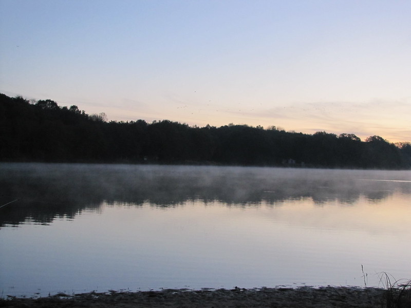 Session peche novembre 2012 etang de moutiers Yonne