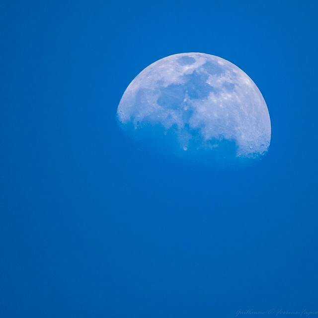 Lune bleue 7144725361_3c57c3048e_z