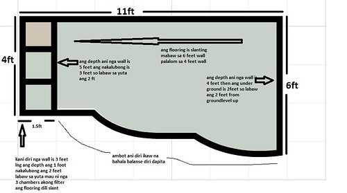 my koi pond construction 6515542903_f289b5b4f9