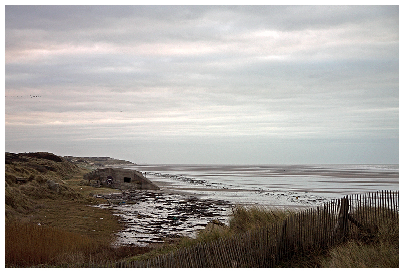 Sur la plage abandonné  (+ version N&B) 6662220493_c6fac39458_o