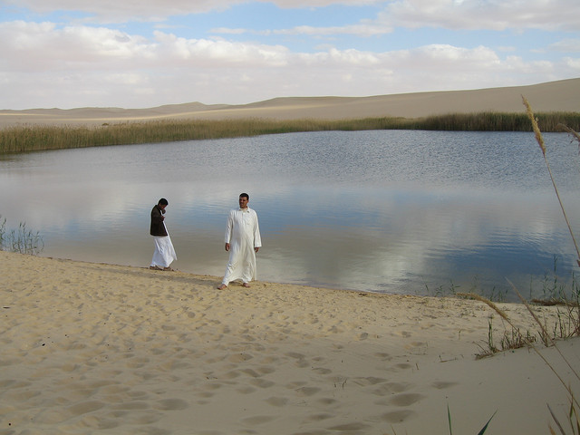 |» بالصور استعدادات الحرية والعدالة للانتخابات البرلمانية بالعريش|17|12|2011 6527588389_7f97e50a3f_z