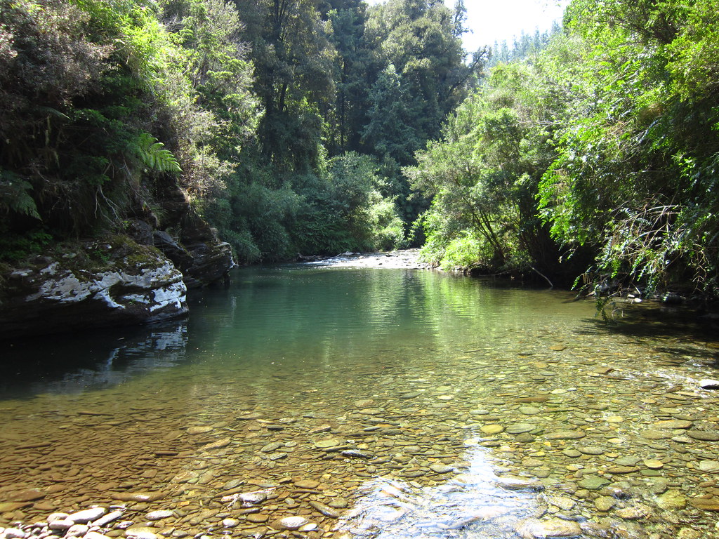 PLANETA  AGUA ..... - Página 3 6673172509_01221d272e_b