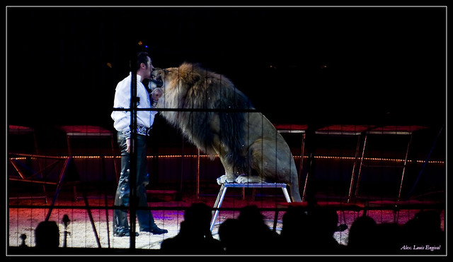 Au cirque Bouglione (Pentax K20D) 6495742175_8d2b28e8d4_z