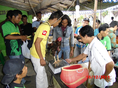 laporan perjalanan kontingen PAPAJI DKI dari bandungan 19des - Page 4 6564180825_99f61ef0b1