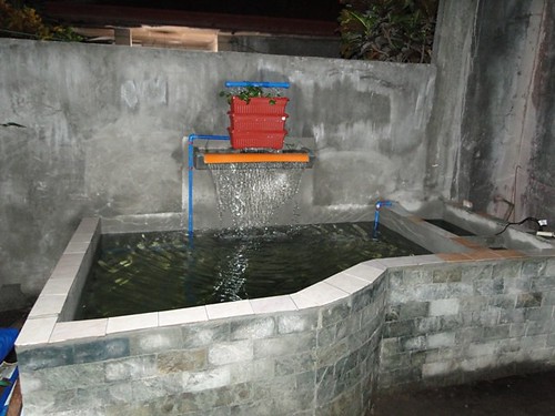 my koi pond construction 6515522857_8694837836