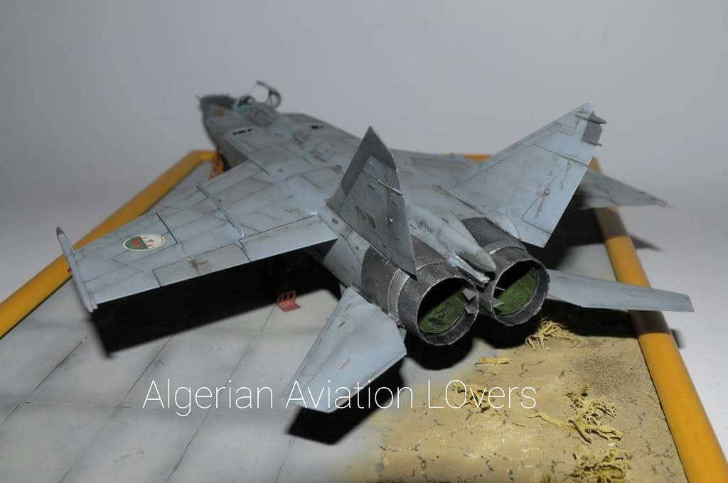صور طائرات القوات الجوية الجزائرية [ MIG-25 / Foxbat ] - صفحة 3 27616517460_0a1e49a37a_b