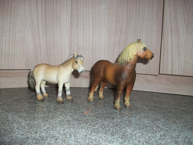 2 new horses for my herd 6921576017_f76b009cc1_z