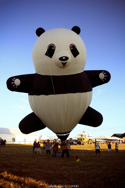 17th Hot Air Ballon Fest 6850007899_b43d4e6f07_z