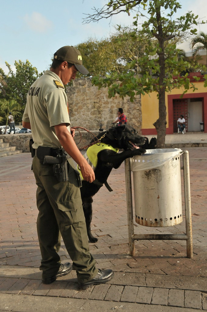 Colombian Armed Forces. - Page 2 6923618858_63c34e8a0a_b