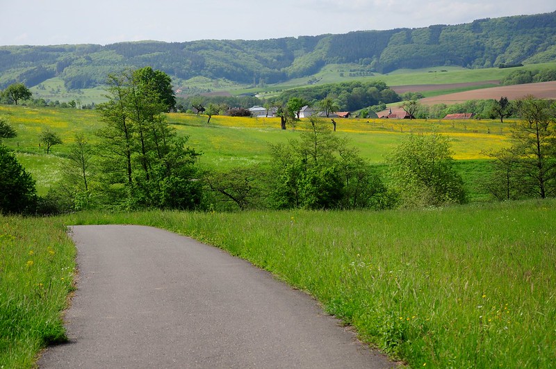 Balade de l'Arbre de mai : Eifel et Moselle [2012] saison 7 •Bƒ   - Page 5 7247743934_ebc48b95bb_c