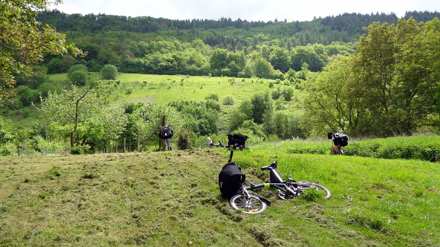 Balade de l'Arbre de mai : Eifel et Moselle [2012] saison 7 •Bƒ   - Page 4 7263511536_1b69a6362a_o