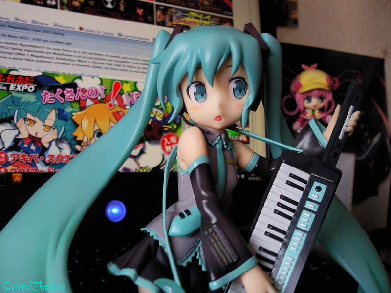 [Review] Hatsune Miku HSP ver. (Max Factory) 7274405344_6c41e06613_c