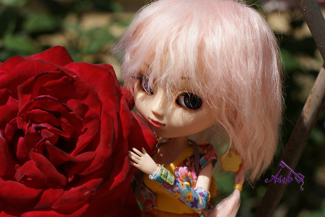 Kala (Pullip Papin)(act 01/08/13) 7250473430_5e93b5775c_z