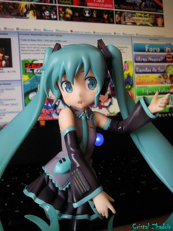 [Review] Hatsune Miku HSP ver. (Max Factory) 7274389624_d0003ba8e4_c