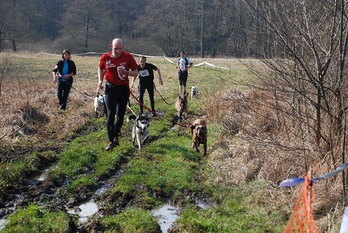 canicross - Canicross de Oberhaslach 6871217434_c4086d7c52