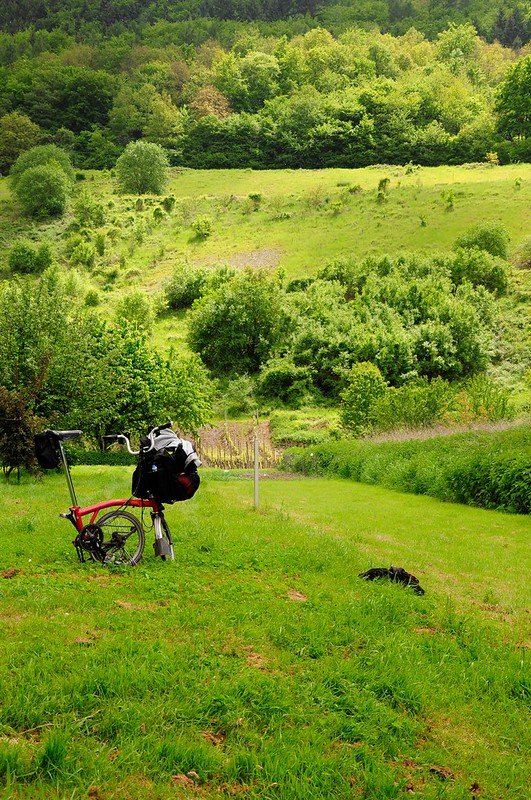 Balade de l'Arbre de mai : Eifel et Moselle [2012] saison 7 •Bƒ   - Page 3 7247943490_c28edf0ca9_c