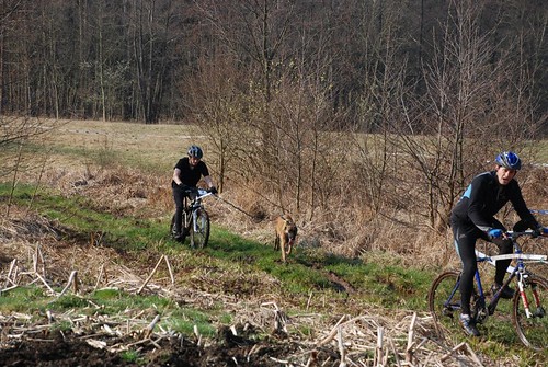 canicross - Canicross de Oberhaslach 6871217202_1d43130040