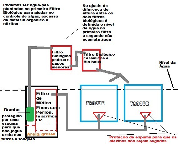 Tanque com Tilapias - Página 8 7067768701_2a41d5c0c0_z