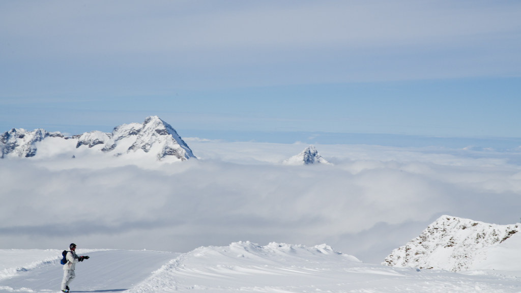 Poirier et autres à 3600m... 7097478077_99089a3d9e_b