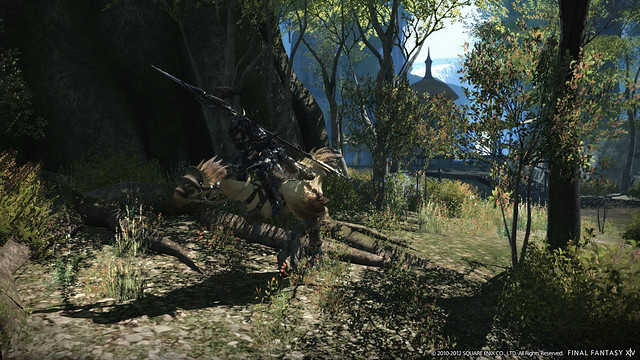 Final Fantasy XIV: Nuevos detalles y entrevista 7176624283_cd79e0a826_z