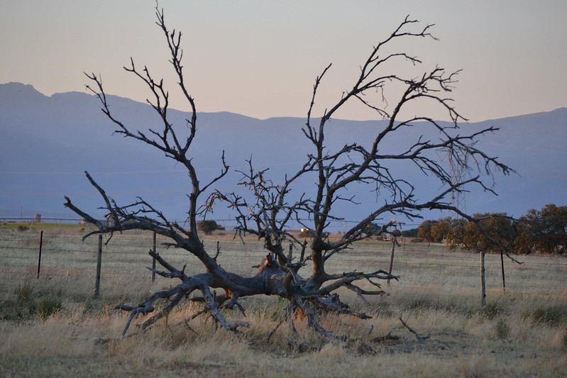 Naturaleza muerta.................................. 7638754754_9e554062d1_c