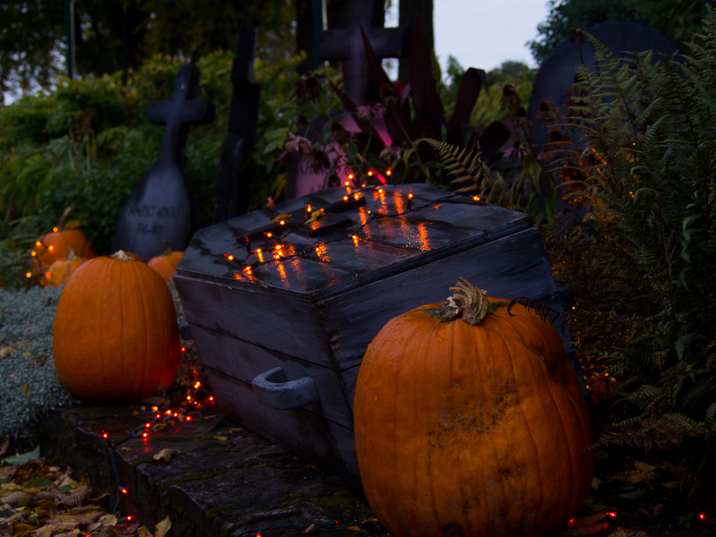 Halloween au Parc Jeanne d'Arc +1 modifiée 10146399974_9348a6226f_c