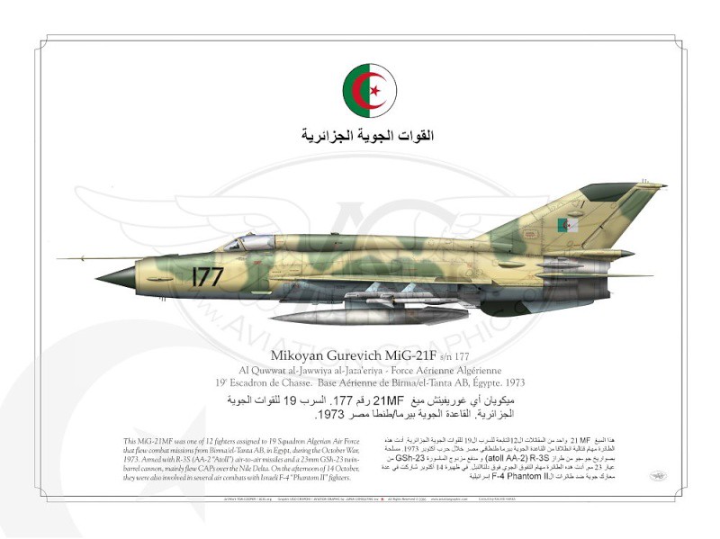 صور القوات الجوية الجزائرية [ AAF VIRTUAL ]  - صفحة 4 27631947022_b97b2a63f6_b