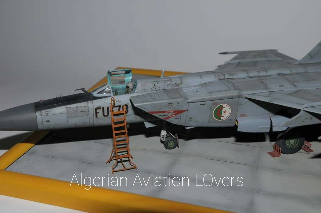 صور طائرات القوات الجوية الجزائرية [ MIG-25 / Foxbat ] - صفحة 3 27818073101_aafe61373d_b