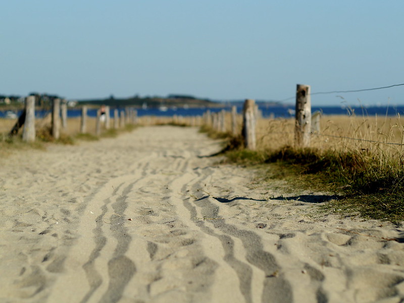 Chemin de sable +ajout 9562856426_a759d102e1_c