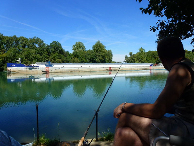 2013 aout GRavon et nuit Marolle sur seine pêche