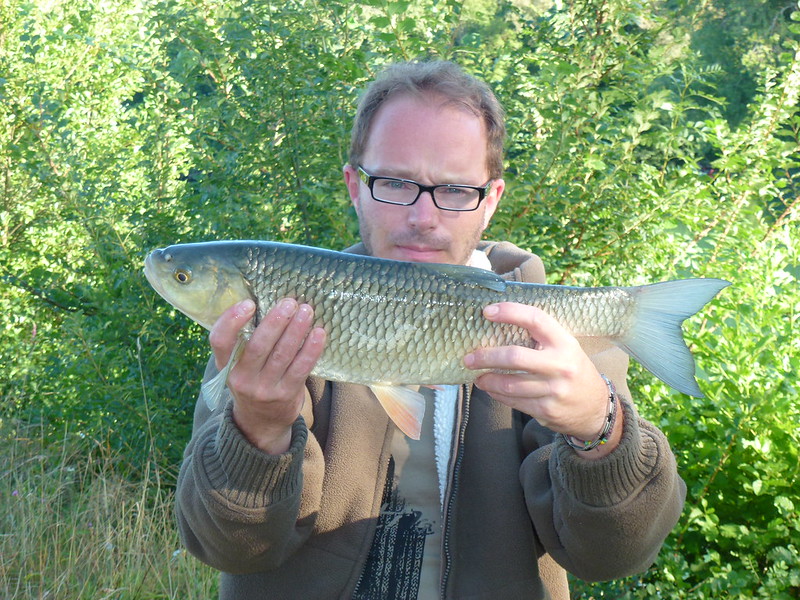 2013 aout GRavon et nuit Marolle sur seine pêche