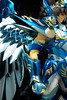 [Imagens] Saint Seiya Cloth Myth - Seiya Kamui 10th Anniversary Edition 10139355024_c599d70728_t