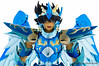 [Imagens] Saint Seiya Cloth Myth - Seiya Kamui 10th Anniversary Edition 10064678675_b3f7c90777_t