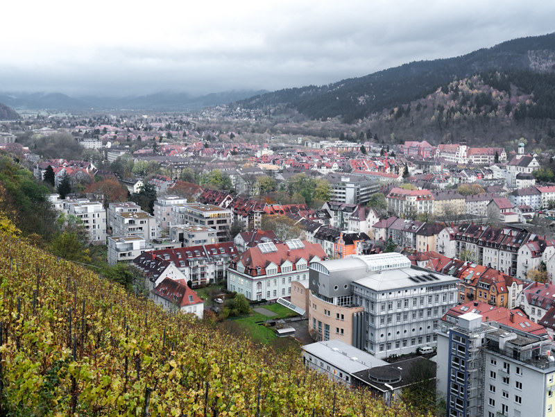 Sur les hauteurs de Freiburg 11090968485_20a523c378_c