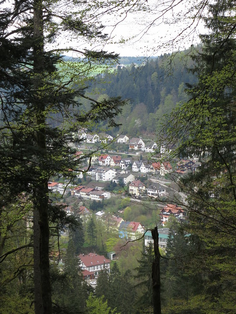 La balade de l'Arbre de mai (bis): Forêt noire et Neckar [2013] •Bƒ  - Page 3 8731169276_6f029069d4_z