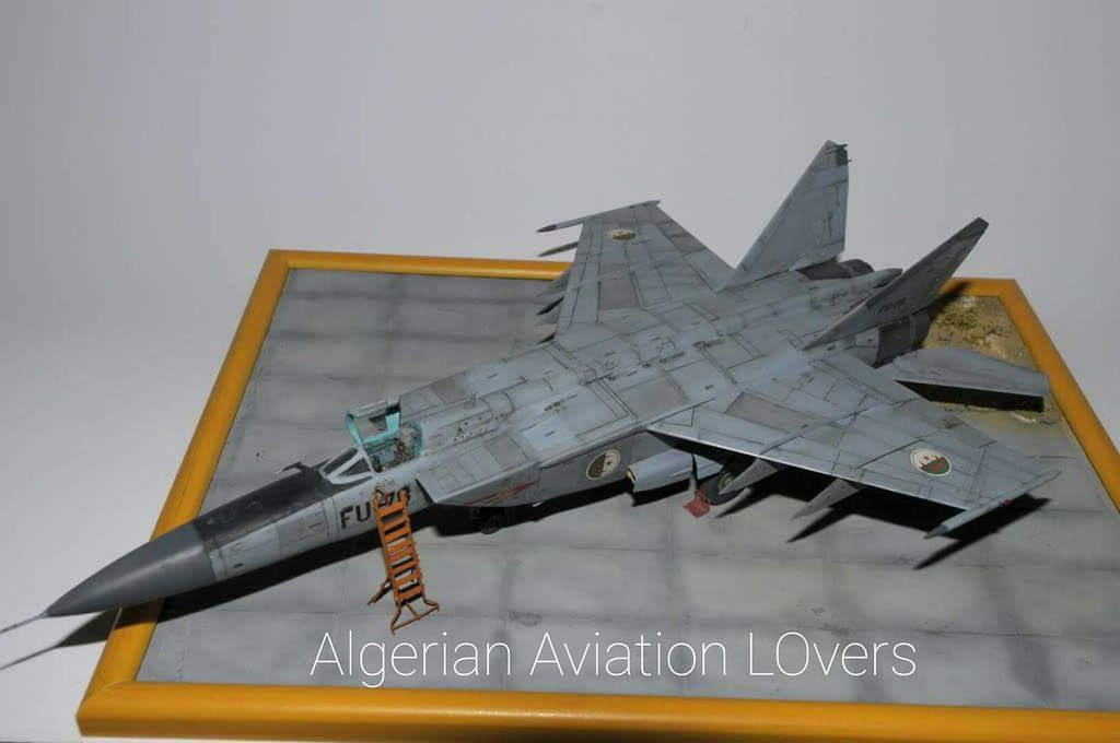 صور طائرات القوات الجوية الجزائرية [ MIG-25 / Foxbat ] - صفحة 3 27616516490_bed419841d_b